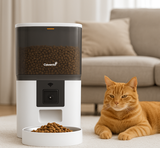 Kat naast Cavento automatische voerbak met camera