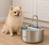 Kleine hond drinkt uit Cavento 4L RVS drinkfontein