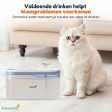 Automatische voerbak met camera + Drinkfontein