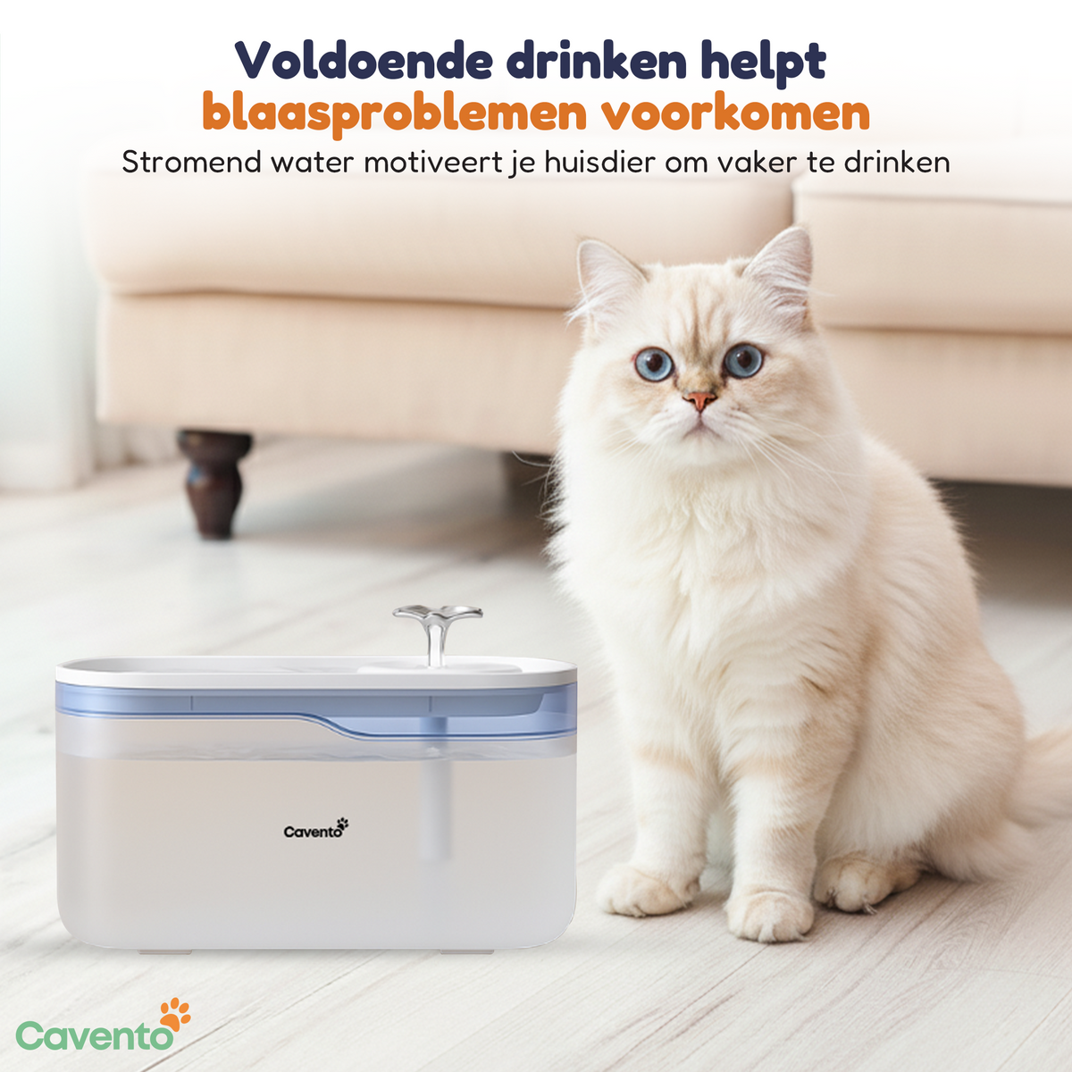 Meer drinken, elke dag